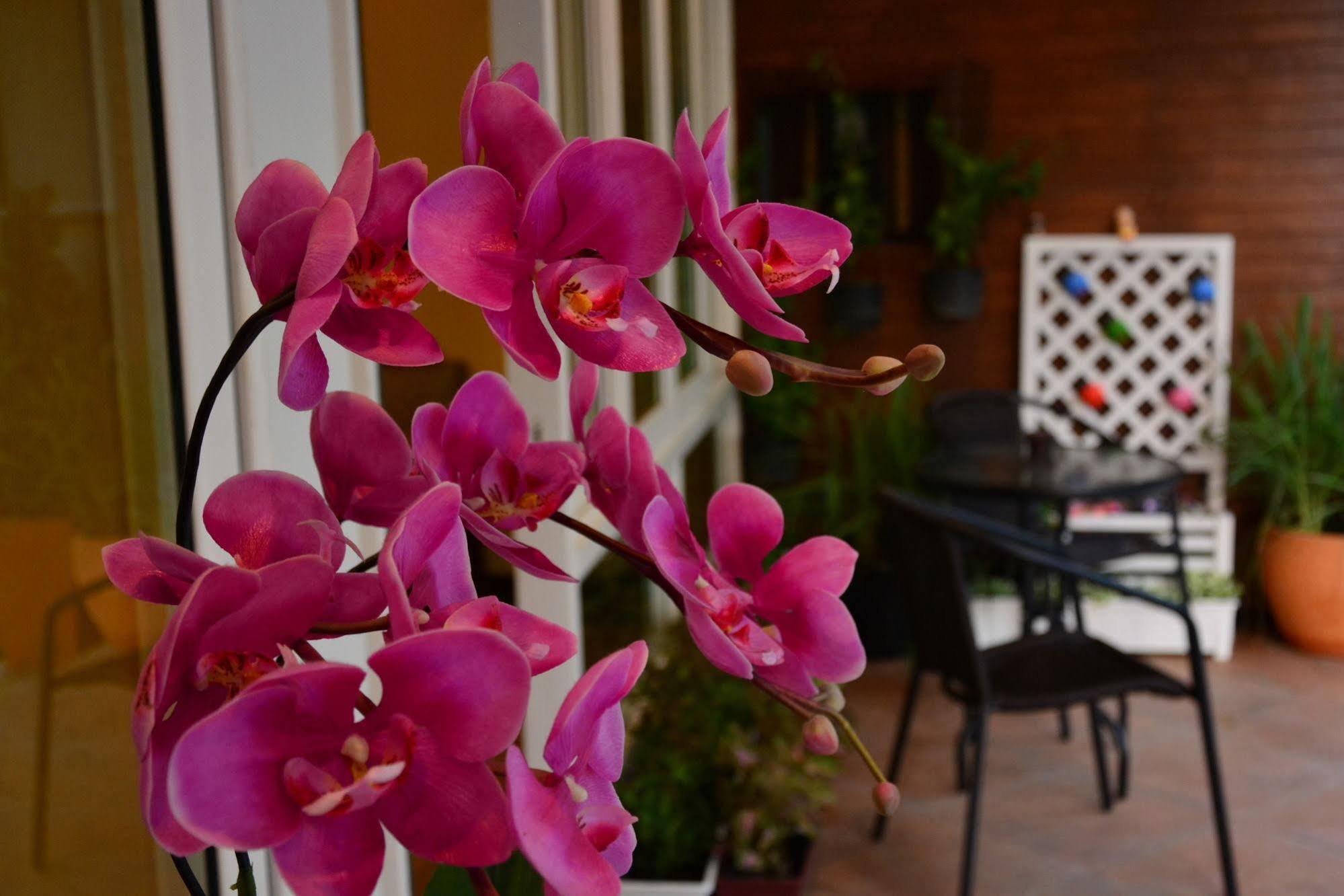 Seedling House Pattaya Extérieur photo